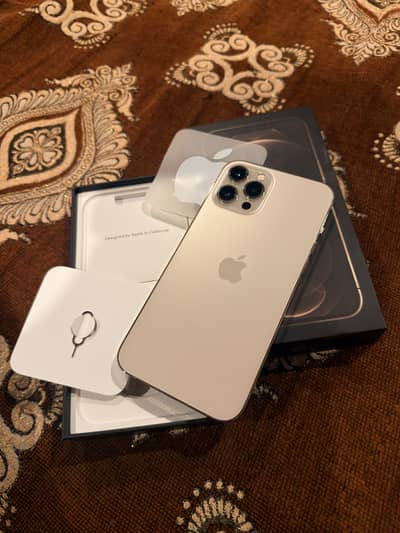 Apple iPhone 12 Pro Max