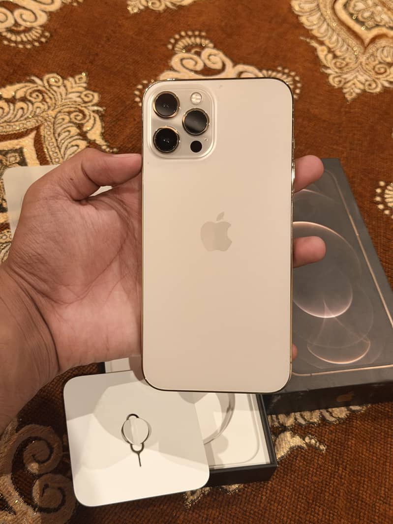 Apple iPhone 12 Pro Max 1