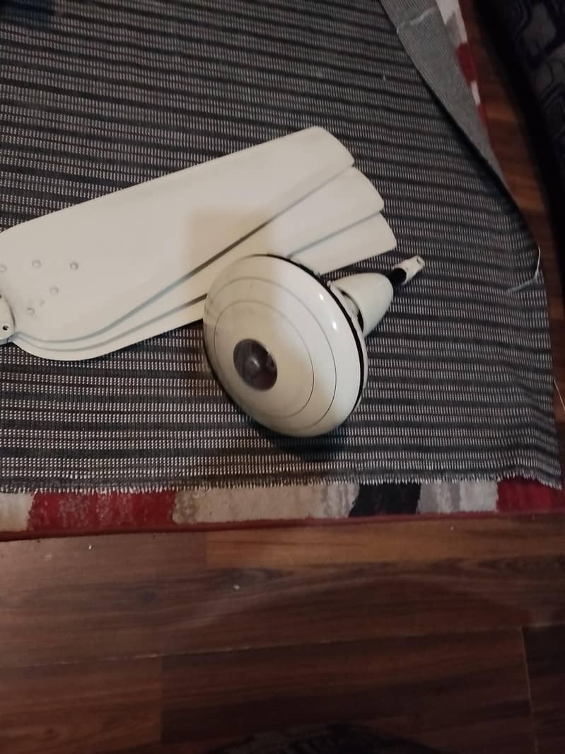 ceiling fan 1