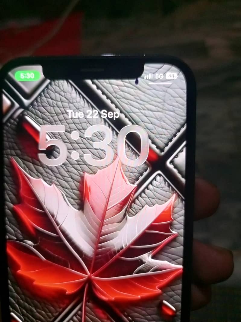 Apple iPhone 12 Pro 5