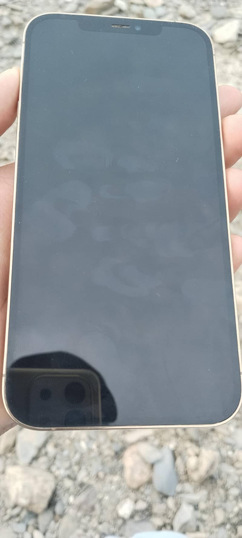 Apple iPhone 12 Pro Max 5
