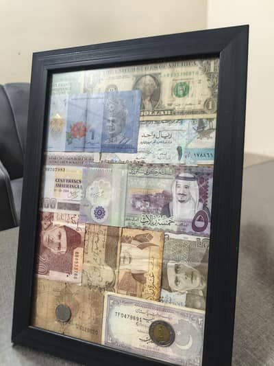REAL CURRENCY COLLECTION FRAME