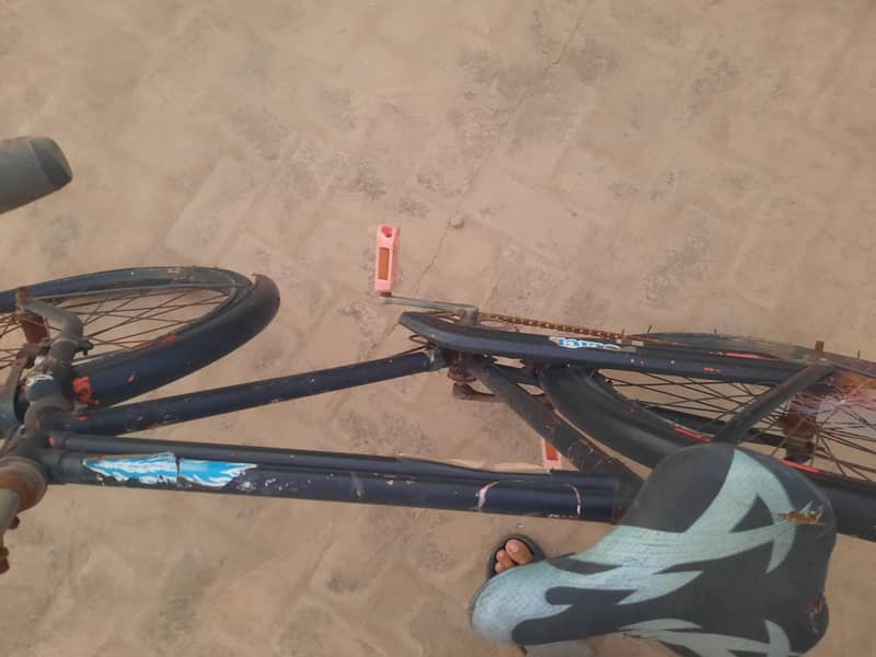 bicycle 2
