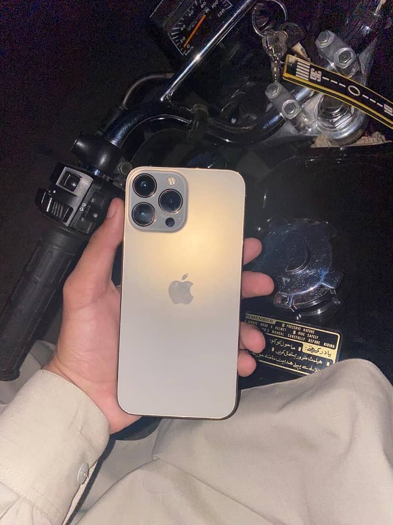Apple iPhone 13 Pro Max 1