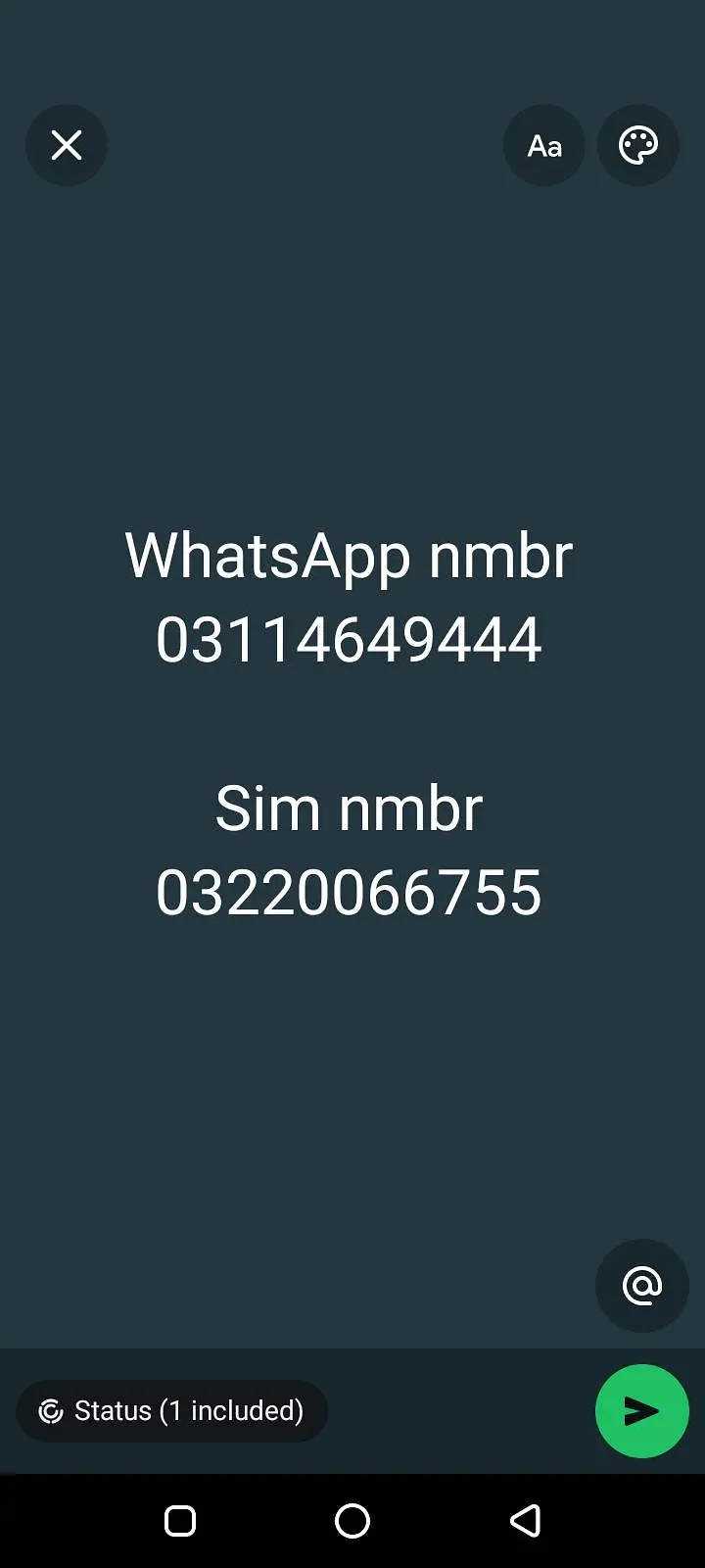 black German Shepherd puppy male for sale — photo 3