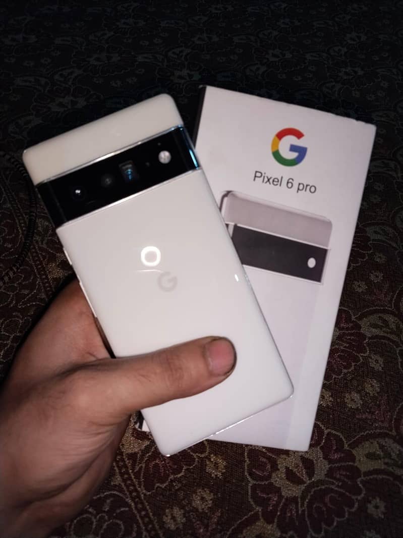 Google Pixel 6 Pro 1