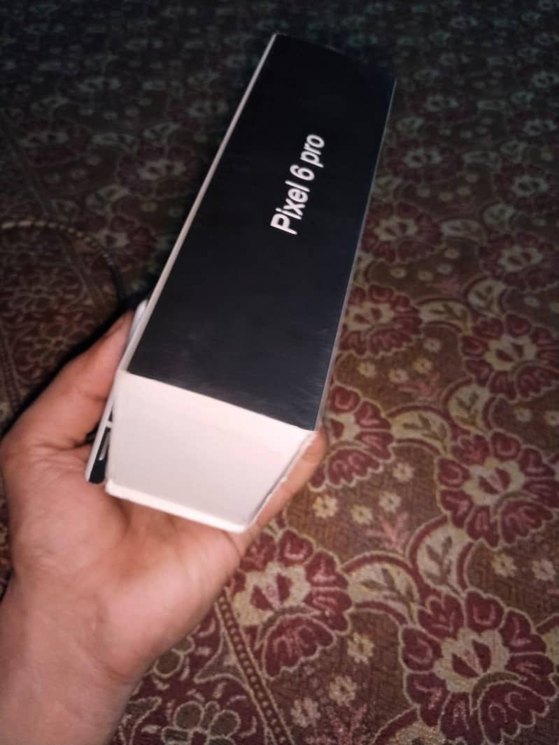 Google Pixel 6 Pro 2