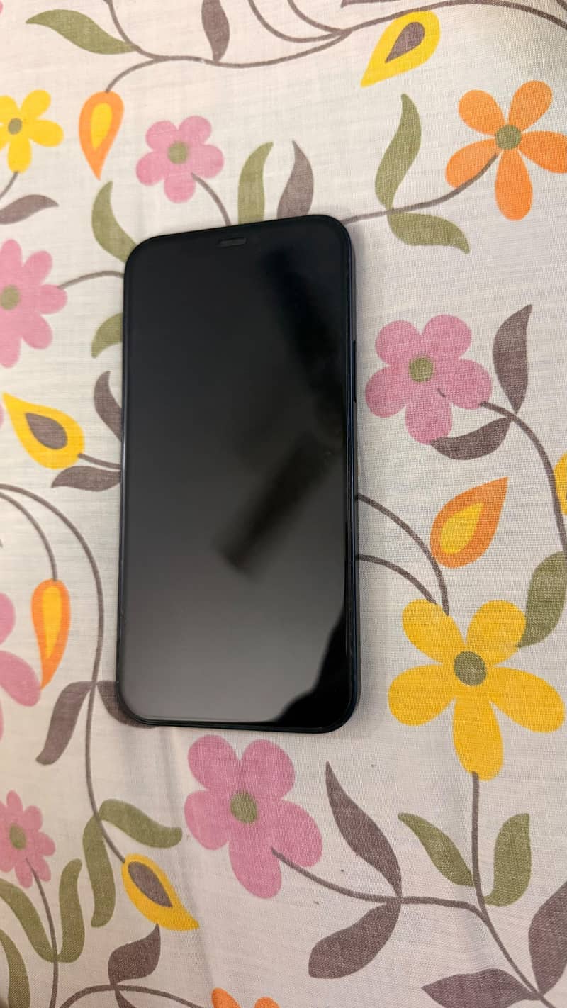 Apple iPhone 12 1