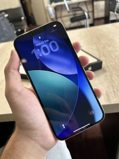 Apple iPhone 13 Pro Max Pta Approved