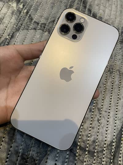 iPhone 12 Pro 10/10
