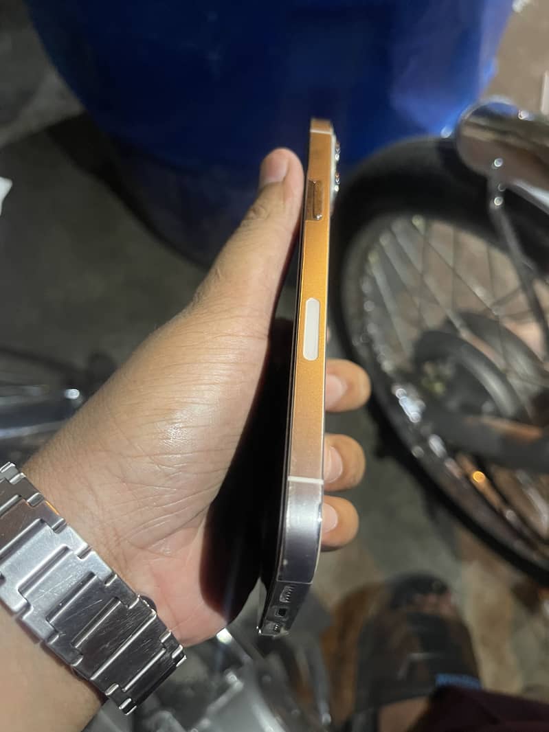 Apple iPhone 13 Pro Max 4