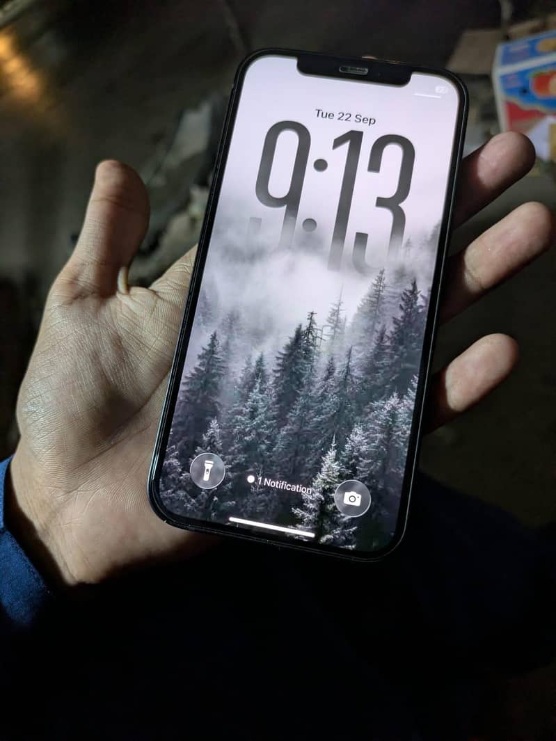 Apple iPhone 12 0