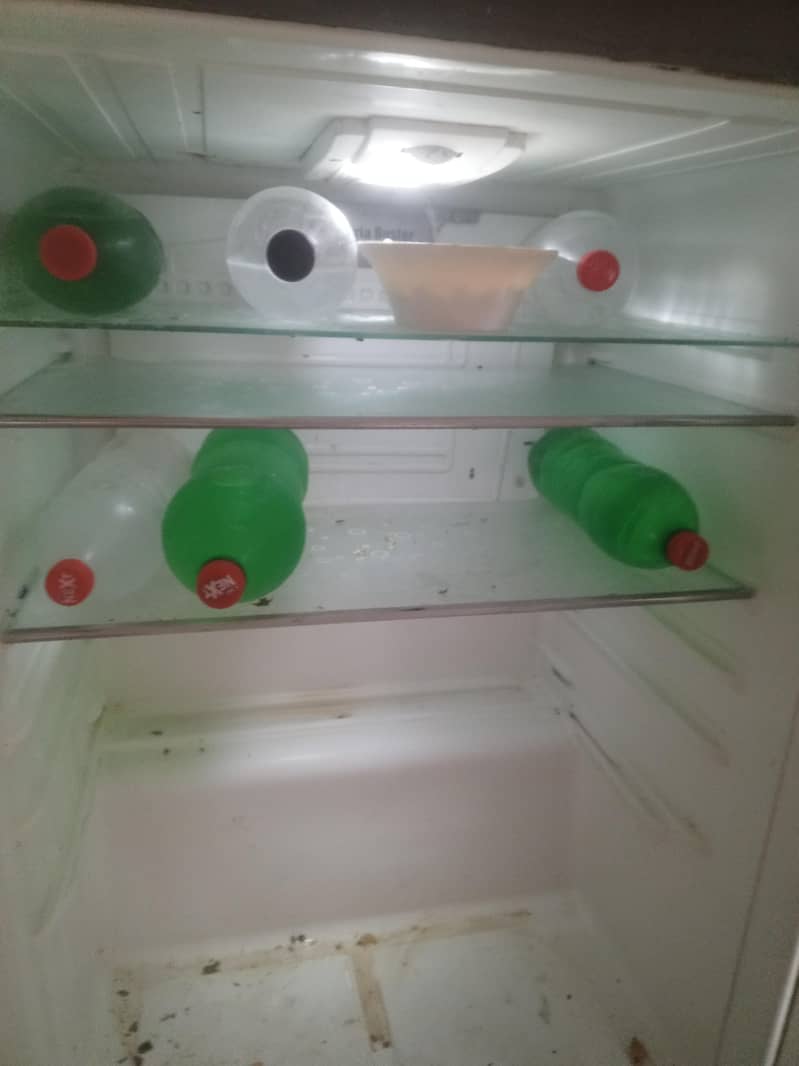 Pell frige extra large 1