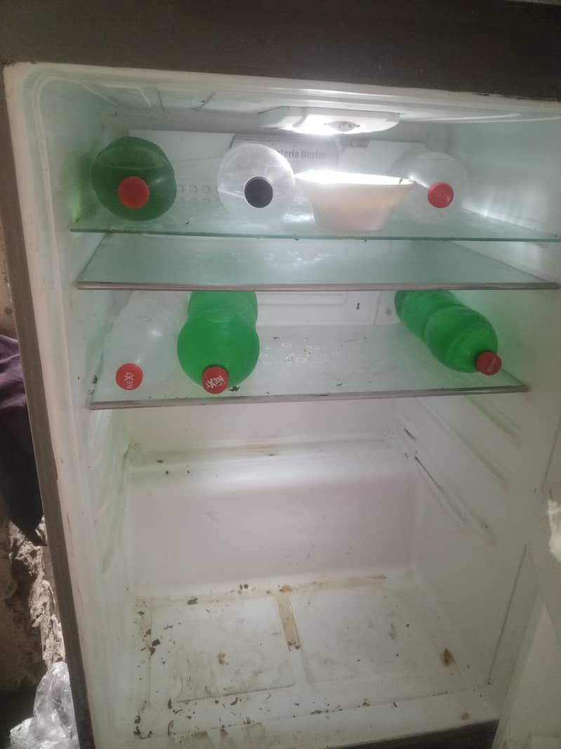 Pell frige extra large 3