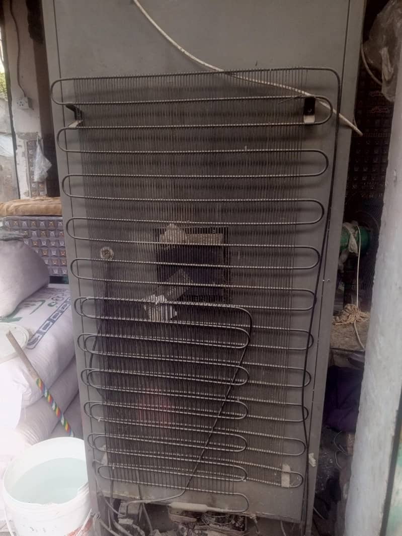 Pell frige extra large 5