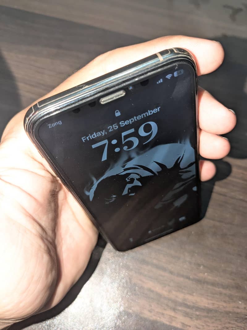 Apple iPhone XS 1