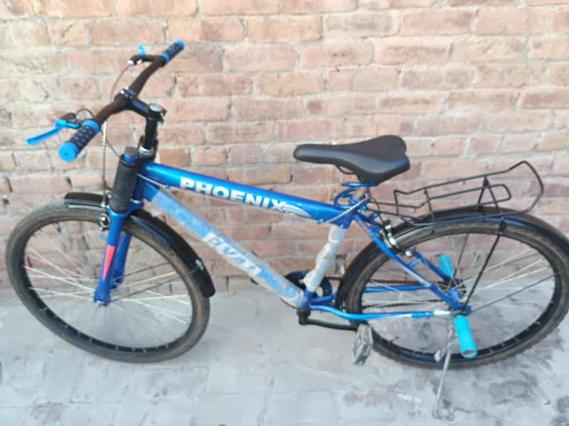 Bicycle 0