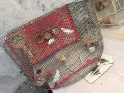urgent for sale