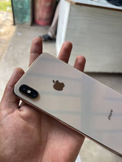Apple iPhone X