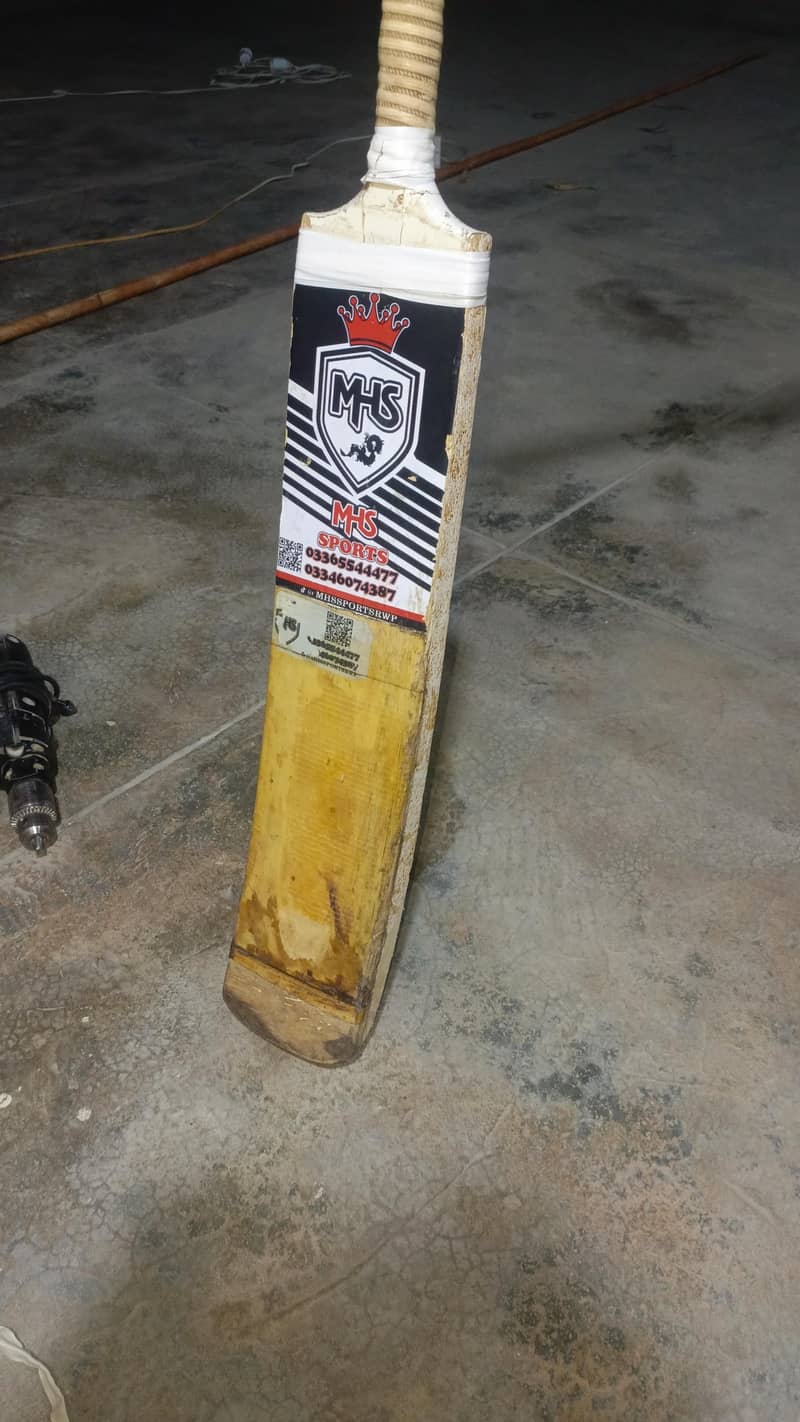 Cricket Bat 2