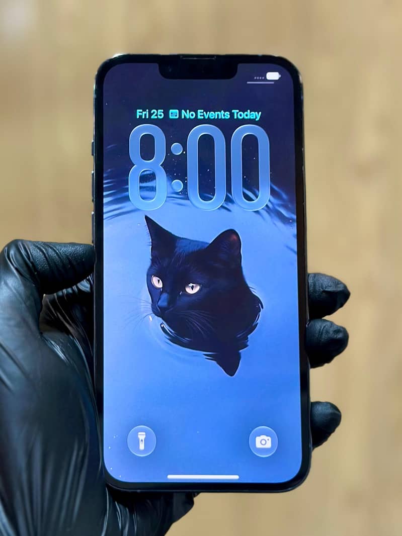 Apple iPhone 13 Pro 1