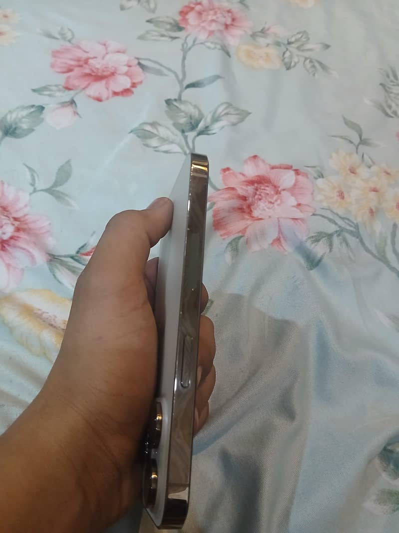 Apple iPhone 14 Pro 1