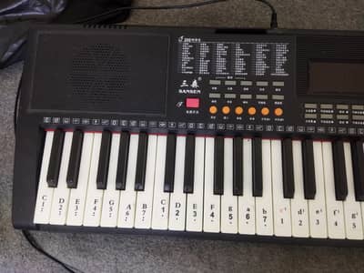 Sansen / BD Music BD-662 – 61-Key Electronic Keyboard