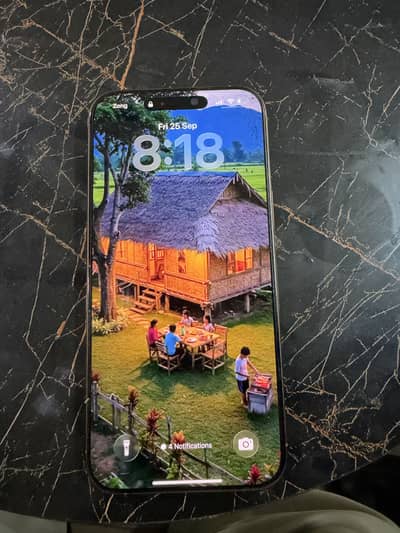 Apple iPhone 16 Pro Max