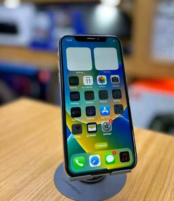 Apple iPhone X 1