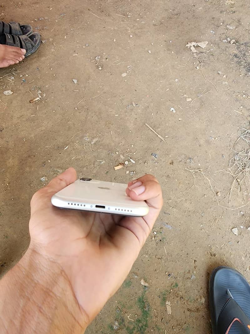 Apple iPhone 11 1