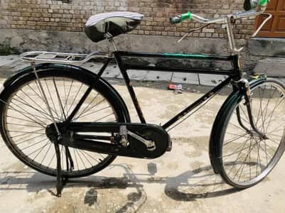 China cycle phoenix for sale 0325=3311626 Whatsapp number