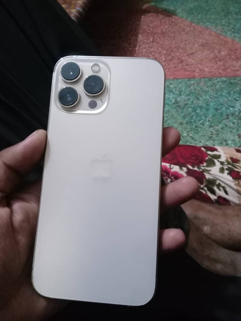 Apple iPhone 13 Pro Max 1