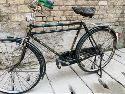China cycle phoenix for sale 0325=3311626 Whatsapp number