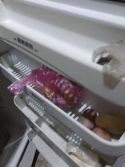 big size refrigarater sale