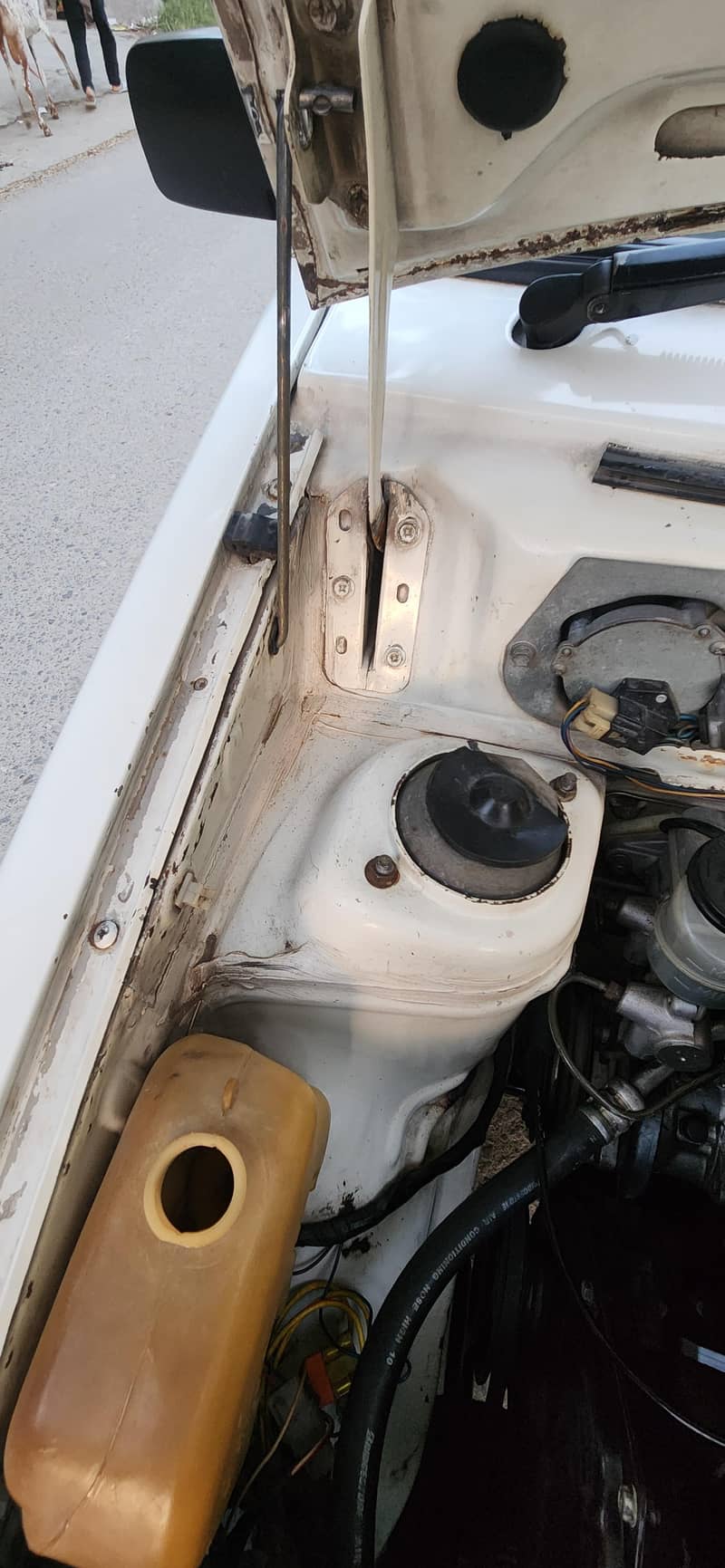mehran 16