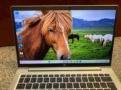 HP ProBook 635 Aero G7