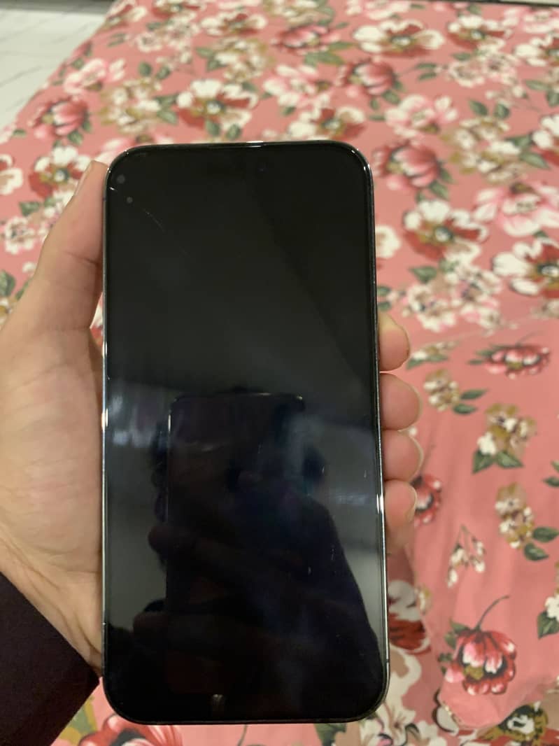 Apple iPhone 14 Pro Max 5
