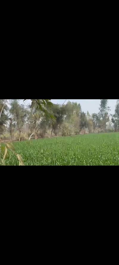 9 Kanal Agricultural Land for Sale – Main Salam Road, Hujjan, Kot Momi