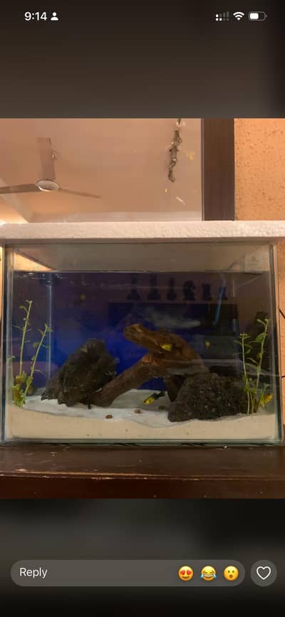 FULL FISH SETUP AQUARIUM FOR SALE