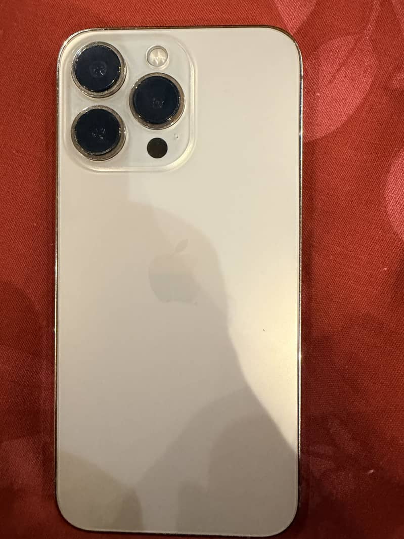 Apple iPhone 13 Pro 1