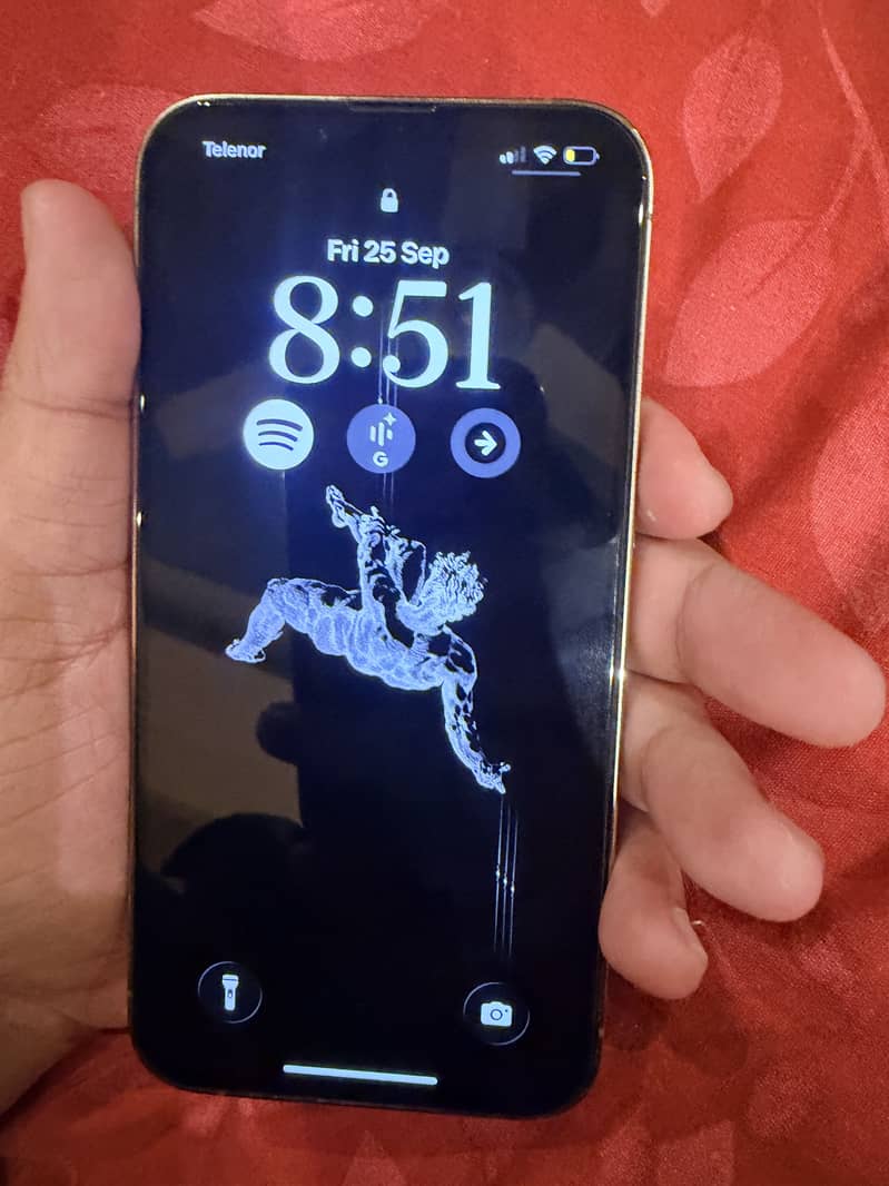 Apple iPhone 13 Pro 2