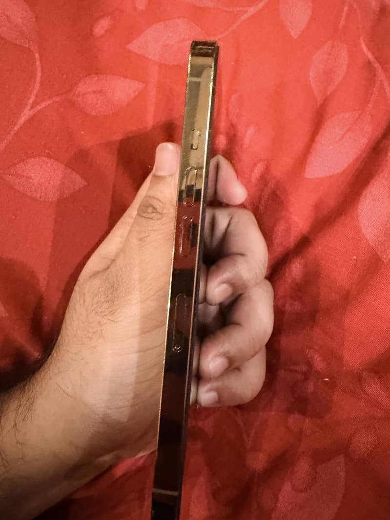 Apple iPhone 13 Pro 3