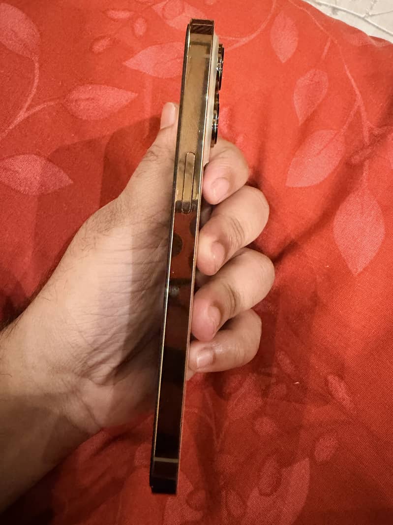 Apple iPhone 13 Pro 4