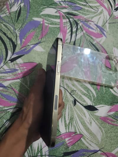 iPhone 13 Pro Max urgent