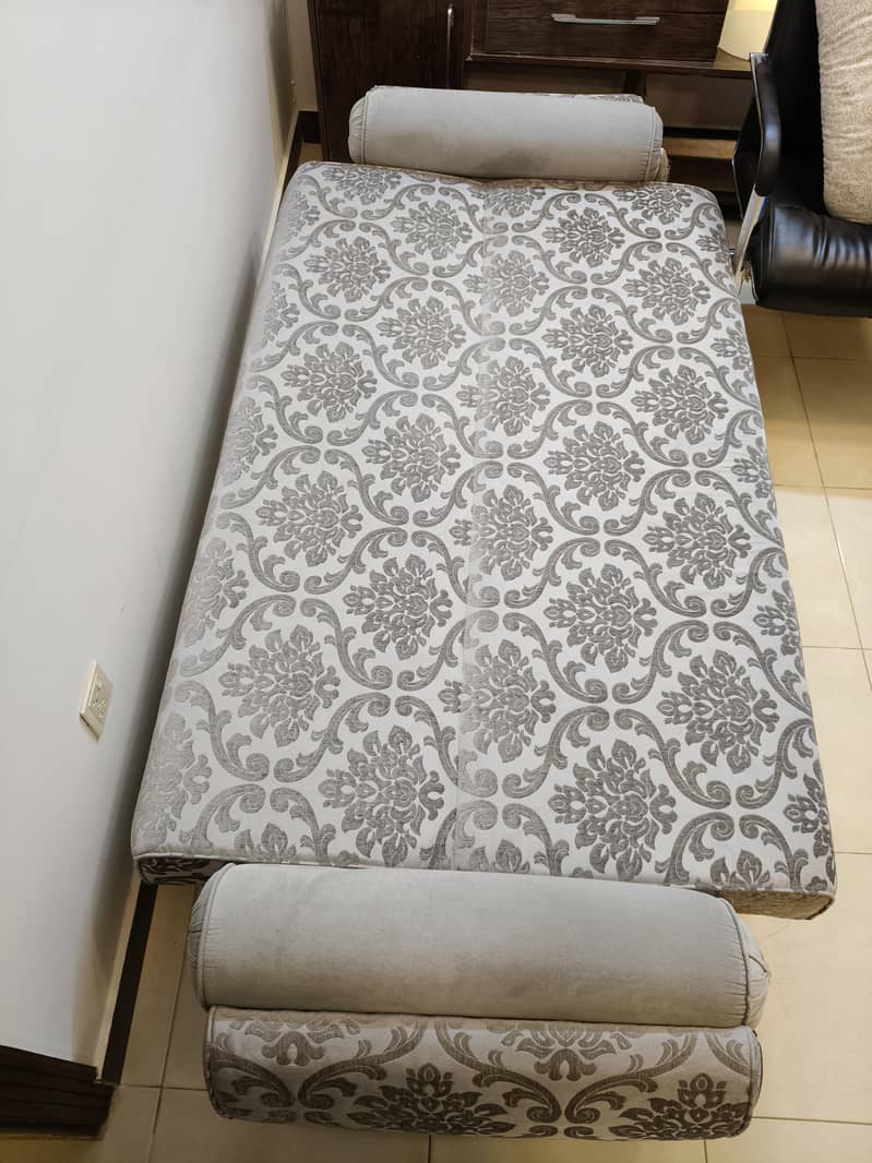 sofa cum bed 2