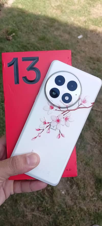 One Plus 13 Non pta Global 16 512