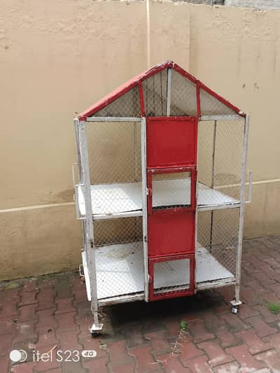 Hens and Birds Cage