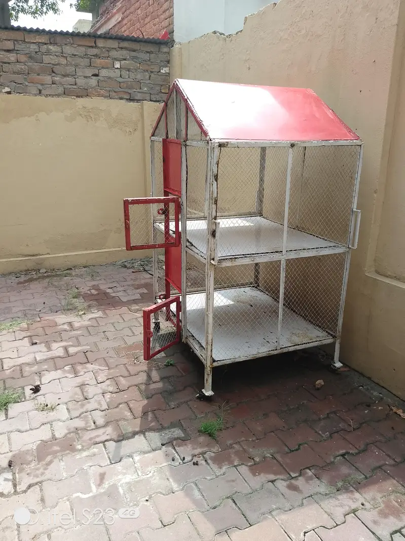 Hens and Birds Cage — photo 2