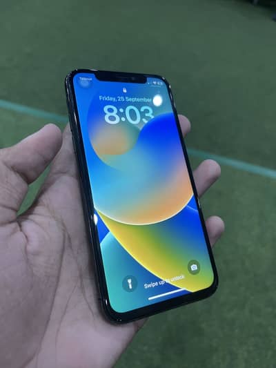 Apple iPhone X