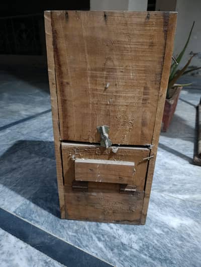 ring neck breeder box
